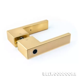 Ручка Gimmel F11 TTLock, DM- 60, U, Золото фото