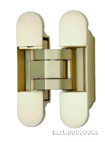 Петля скрытой установки ELEMENTIS 120х30 мм, золото матовое, с комплектом колпачков (50 кг/2 шт) фото