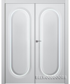 Аргентум 1D Двойная фото