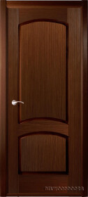 Дверь Наполеон (глухая, распашная)