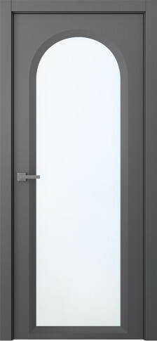 Аргентум 1E фото