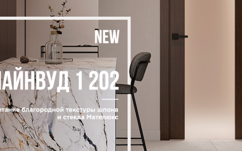 Лайнвуд 1 202 — модель со стеклянной вставкой на всю высоту полотна!