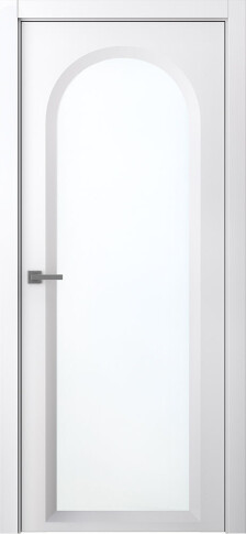 Аргентум 1E фото